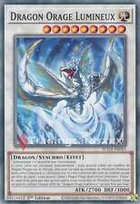 Yu-Gi-Oh! Dragon Orage Lumineux : C SUDA-FR043