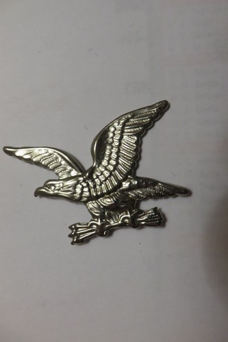 Insigne argenté aigle vol - aigle, en