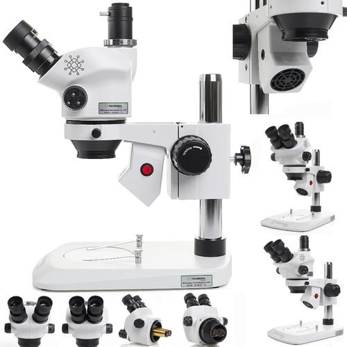 Microscope stéréo