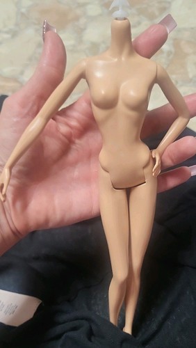 Barbie model muse - barbie, doll