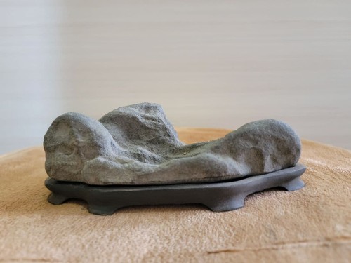 Suiseki bonseki bonsai - bonseki,