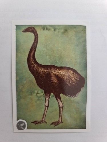 Image sticker autocollant