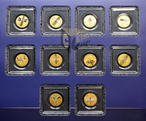 World dragonflies set - of, in