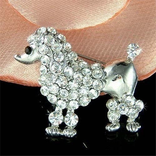 Chien caniche avec cristal - caniche, ~