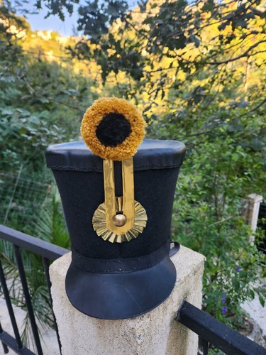 Shako militaria collection - shako,
