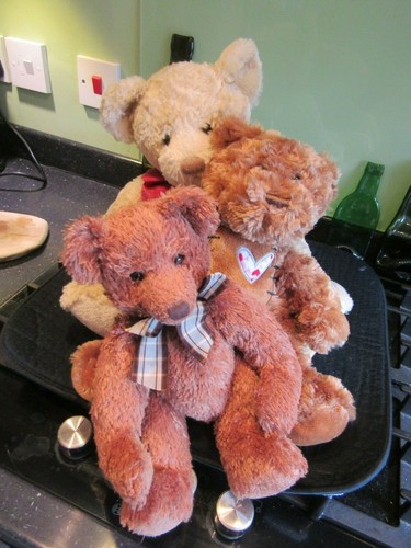Magnifique trio ours en - magnifique,