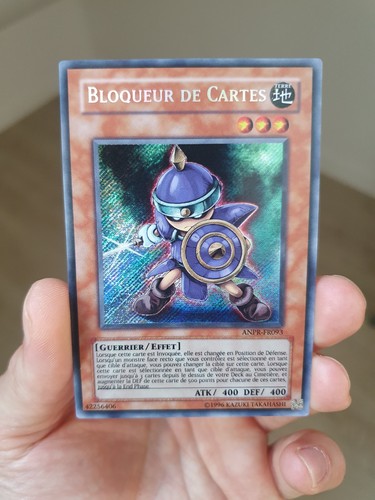 Bloqueur cartes anpr fr093 - de,