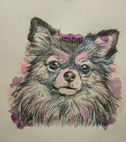 Tableau dessin chien - chien, chiwawa