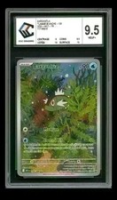 CCC 9.5 - Carte Pokémon
