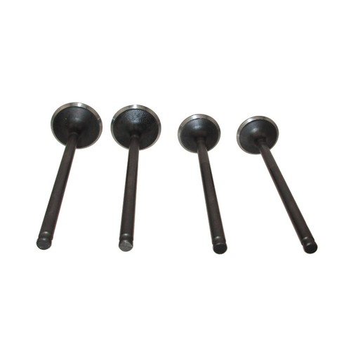 Intake exhaust valves for - exhaust,