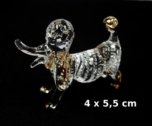 Magnifique caniche verre - caniche, en