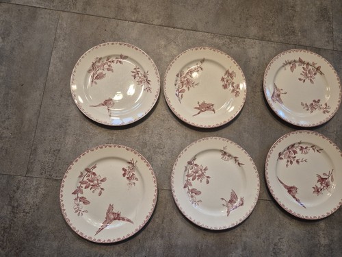 Assiettes dessert - à,