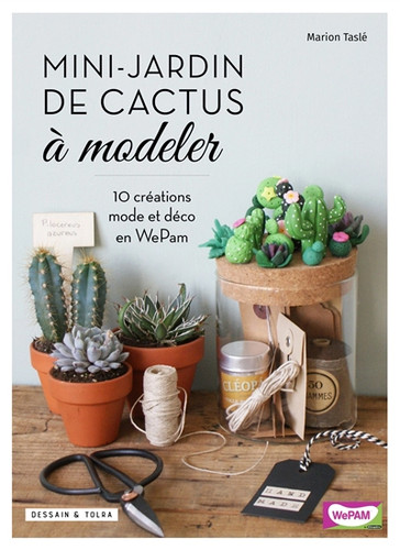 Mini jardin cactus à - mini-jardin, de