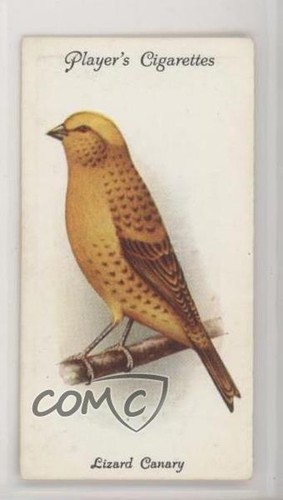 1933 player aviary and - aviary, cage