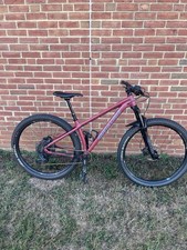 Santa Cruz Chameleon 29 D