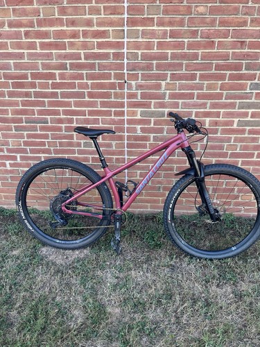 Santa cruz chameleon - cruz,