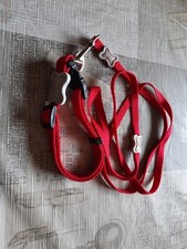 Collier tour de cou 30 a 45 cm env et laisse L 1,14 m rouge Vivog elegance