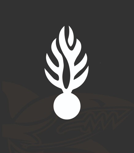 Autocollant flamme gendarmerie - autocollant,