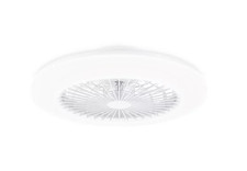 Ventilateur avec plafonnier