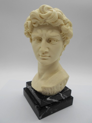Buste david en - 21,