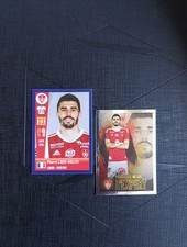 Lot Sticker Image PANINI FOOT