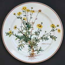 Sublime grande assiette - grande,