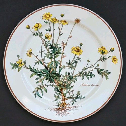 Sublime grande assiette - sublime,