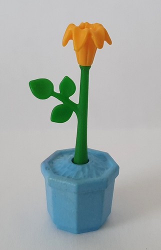 Fleur jaune dans pot - pot, bleu
