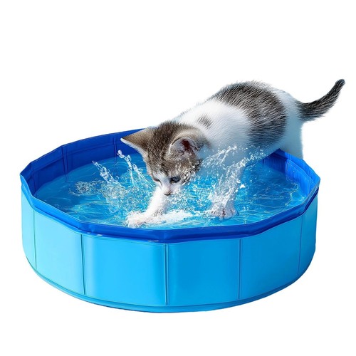 Petit piscine chat 10cm - petit,