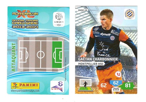 Mhsc gaëtan charbonnier - -,
