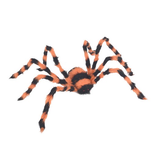 Araignée Décorative