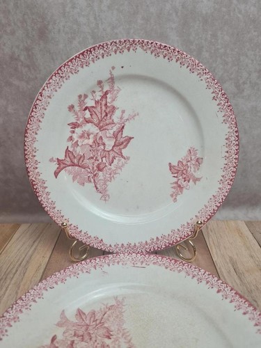 Lot assiettes à - de,