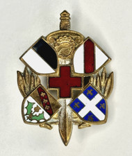 INSIGNE SANTÉ 6° SIM SECTION