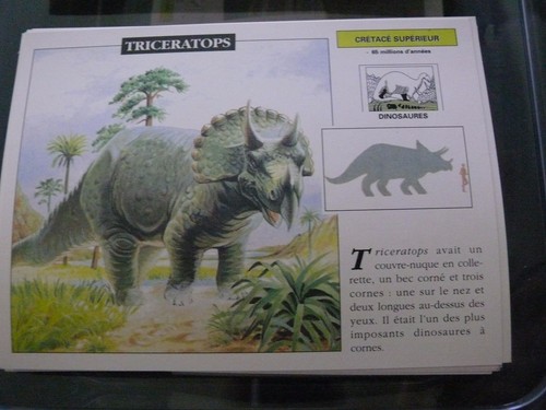 Carte fiche card dinosaure - card,