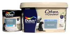 Lot Peinture DULUX VALENTINE