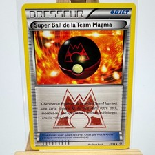 Super Ball de la Team Magma