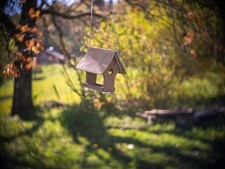 Objectif laiton Faliez Siamor