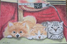 Nom du dessin au crayon de couleur : 2025 1ère conférence Kotatsu taille...