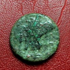 Greek Ptolemy Egypt eagle standing counter-strike Rare reverse coin to identify