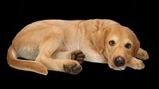 Hotant Figurine de Jardin Chien XL - Labrador Allongé Réaliste - Mâle Züchter