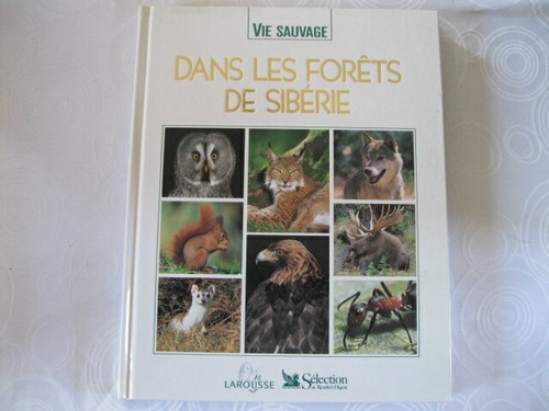 Vie sauvage dans - dans, forets