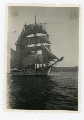 Photo snapshot été 1937 - photo,