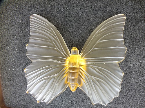 Bayel magnifique papillon - papillon, de