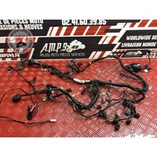 Faisceau électrique principale Kawasaki Z1000 SX 2011 à 2013