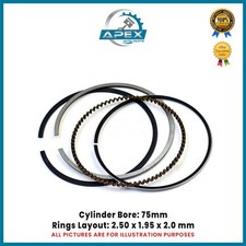 Jeu de Segments Piston Pour 1.6 Moteur Diesel 9HC (DV6C) Citroën, Ford & Peugeot