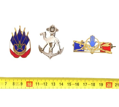 Lot insignes troupes - 3,
