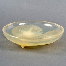 Coupe Volubilis Verre Jaune