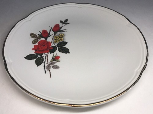 Lot2 assiettes plates - assiettes,