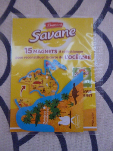 Brossard savane magnets - brossard,