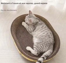 Grattoir Portable Chat Caisse